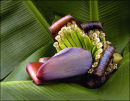 "Banana Plant"